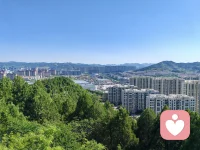 孤身静处，心底那份脆弱，渴望被真切共情聆听配图