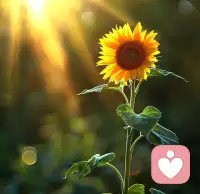 不管什么年纪，不要做空心的人，不要像机器一样活着。要让心脏可有跳动的感觉。
爱自己，助他人。
