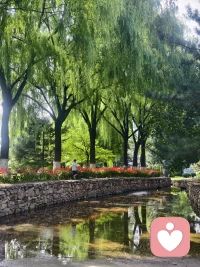 阳光正好，水波温柔，向内生长的生命力，有没有又发出小小的嫩芽？
