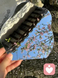 有裂痕的地方，或许是有光照进来的地方，或许是长出翅膀的地方，历经苦痛，终到彼岸配图
