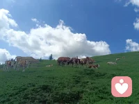 一切都是变化的，你能把握住的，唯有此刻需要度过的时光配图