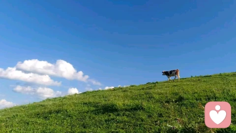 心是万物的源头
