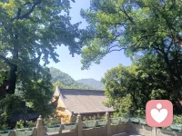 我们的期待，就是我们执著的东西，当我们对人、事、物产生期待时，这种期待背后隐藏的正是我们的执着。一旦现实与期待相悖，痛苦便随之而来。配图