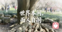 你接纳什么， 什么就消失，你对抗什么， 什么就存在，如果你不明白， 你的敌人是你自己，你会把所有的时间精力 ，用在改变别人，到最后发现自己一无所得。配图