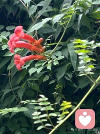 生活给我们带来的很多烦恼、痛苦、难受的根本原因，是不同意，不愿意，不可以。就是限制。是你有自己的标准，别人没有达到。配图