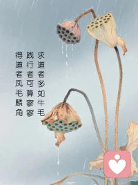 在得到和失去之间还有一个更高的维度：无论得到还是失去，我都学到了什么。这就是常说的：经历本身没有价值，你对经历的感悟指导了你的余生，才是你的无上瑰宝。配图
