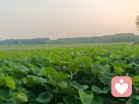 不要去假设问题，假设，“假”在前面，不要为假设的问题去买单。