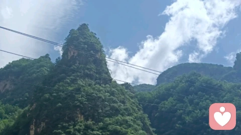 只缘身在此山中