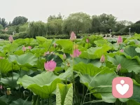 你是你生命的守护者
你是你人生的创造者