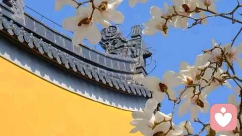 随流认得性，无喜亦无忧