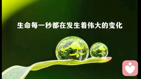 可控,不可控