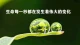 万事始于一念，修行贵在观心