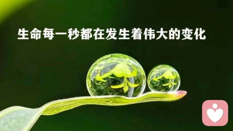 万事始于一念，修行贵在观心