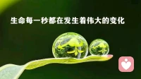 万事始于一念，修行贵在观心