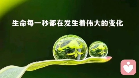 人生没有两全法,万般纠结皆在取舍