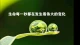 万物皆是因缘和合