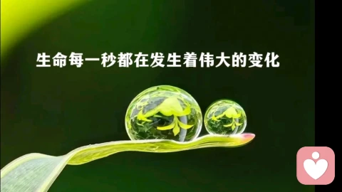 万物皆是因缘和合
