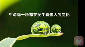 万物皆是因缘和合