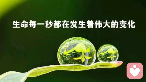 世间从无外物伤人,唯有执念自困