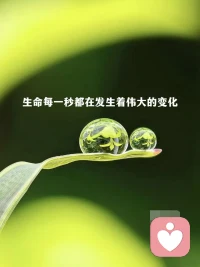 事情本身是中性的，它的好坏来自你的看法。看法决定了你的活法，很多时候你觉得没办法了，其实只是你的看法。