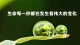 期待，是创伤的根源