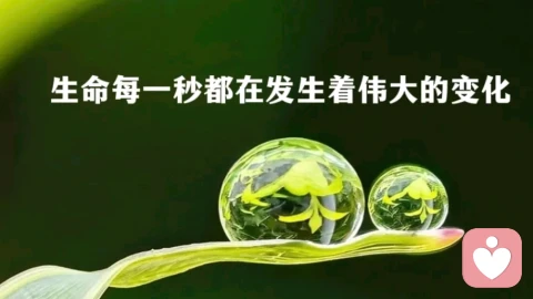 期待,是创伤的根源