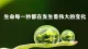 放下期待，是治愈一切关系的的万能钥匙