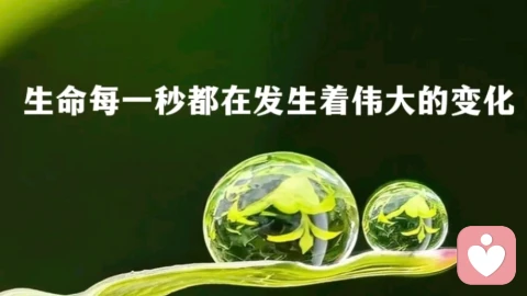 放下期待,是治愈一切关系的的万能钥匙