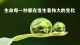 与其担心，不如祝福