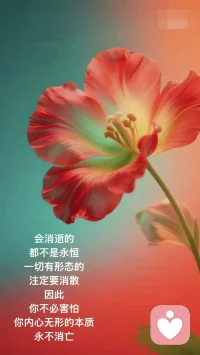 花开则喜，
花败则扫。
 
当你不求的时候，
就离成就越来越近。
 
人生只有两条道：
要么得到，
要么学到。