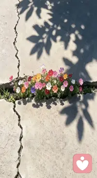 这个世界上，
无论多么牛的文化都有重叠。
 
唯有自己的经历独一份。