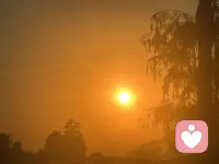 早安！今日小满。万物小得盈满，美好恰逢其时。愿你生活有光，心中有暖，岁岁常安。小满未满，一切皆是最好的模样。愿你在这初夏，收获恰到好处的幸福，早安！人生不求太满，小满即是圆满。愿你今日：开心满满，收获满满，幸福满满。小满安康！配图