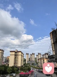 选错就是选错了，没有借口，没有如果，坦然认栽，及时止损。配图