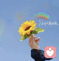 接纳当下的情绪，便是最好的心理自愈。心放宽，日子自然满是晴朗☀️