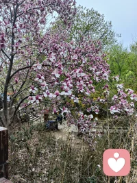 把心里的委屈说出来。心情会好一些。每天高高兴兴的。配图