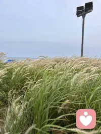 你是不是很多话不知道该跟谁说，委屈、压力、迷茫.难过不用硬撑不用假装坚强。
   我是一名倾听者，耐心、不批判、不打断。在这里你可以放松做自己，把心里的情绪慢慢说出来。陪你聊天、听你倾诉、给你陪伴。
   愿你被温柔以待，也被自己善待。私信我，我一直都在。配图