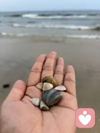 生活不会辜负每一个努力的人，加油👏配图
