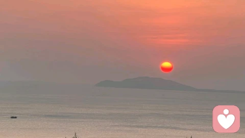 彼此依偎
