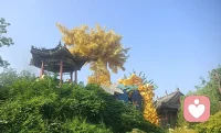 正视内心情绪，和解过往遗憾。
用心感悟心理百态，化解生活烦恼。
好好关照身心，方能安稳度日。配图