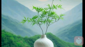 喜烊烊（温暖倾听师）