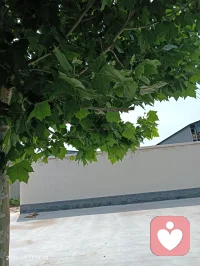 别焦虑，你走的每一步都算数，低谷尽头全是好运。
日子慢慢过，烦恼轻轻落，一切都会刚刚好。配图