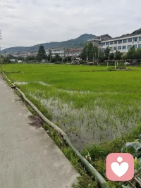 除了生死，一切都不是事，压力大，去农村玩玩。配图