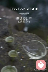 一杯茶的精神疗愈机制
儿茶素清除焦虑自由基
茶氨酸重建神经递质平衡
咖啡碱激活默认模式网络配图