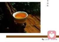 最妙的对话，从来不在议程清单里，而在某片茶叶沉浮时偶然引发的集体沉默中诞生的那个宇宙真相。配图