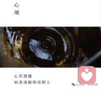 别再稀里糊涂地将日子过成抱怨与指责。坐下来，与你的伴侣，像品鉴一泡珍贵的茶那样，重新审视你们的婚姻。配图