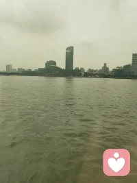 许多婚姻的离散如茶盏骤分，清浊各立。大人或可各自寻觅新的茶席，但那个尚在成长中的“小茶芽”——孩子，却被留在原地，面对着破碎的“原生茶盏”。