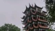 浅谈“疗愈”：辨明真“水”，方得清心
