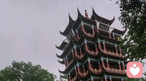 浅谈“疗愈”:辨明真“水”,方得清心