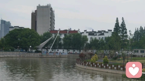 浅谈“觉醒”与“开悟”