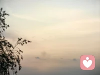 亲密关系中愤怒的情绪背后，其实藏着悲伤。

这种悲伤：

是我的需要，你没看见；

是我想要得到你的认可，你却指责和批评我；

是我知道你能平息我的悲伤，你却不肯安慰我；

是我把你看作我的药，你却没来医好我。